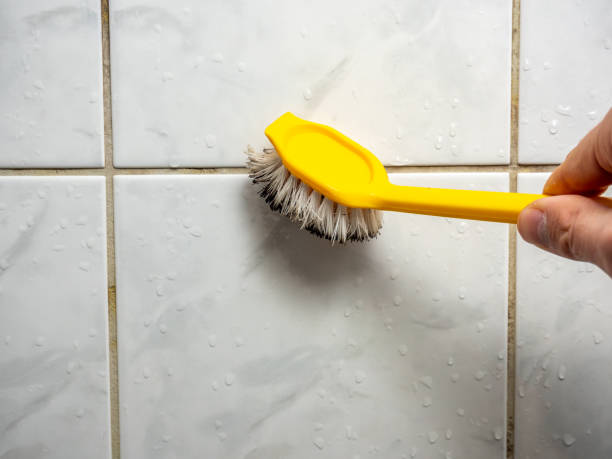 Best Health and Safety Mold Remediation in Potosi, MO