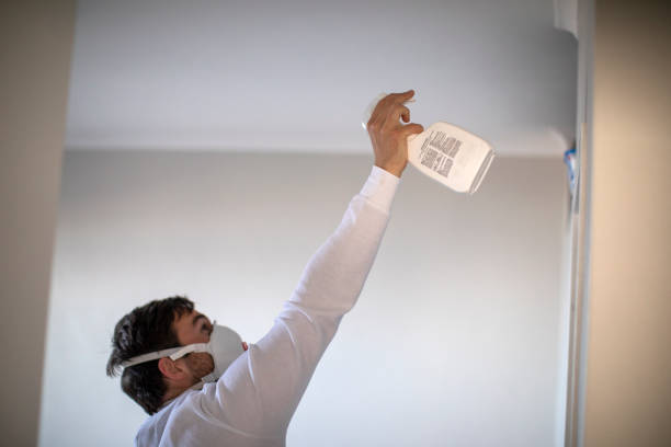 Best White Mold Remediation in Potosi, MO