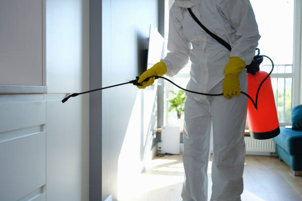 Professional Mold Remediation in Potosi, MO