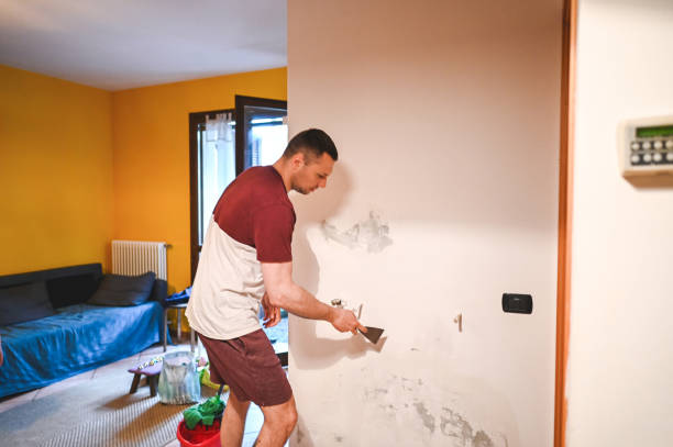 Best DIY Mold Remediation Support Services in Potosi, MO